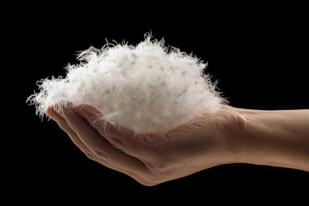 双11买羽绒服别急着掏钱：预算100到3000，8个牌子盘明白