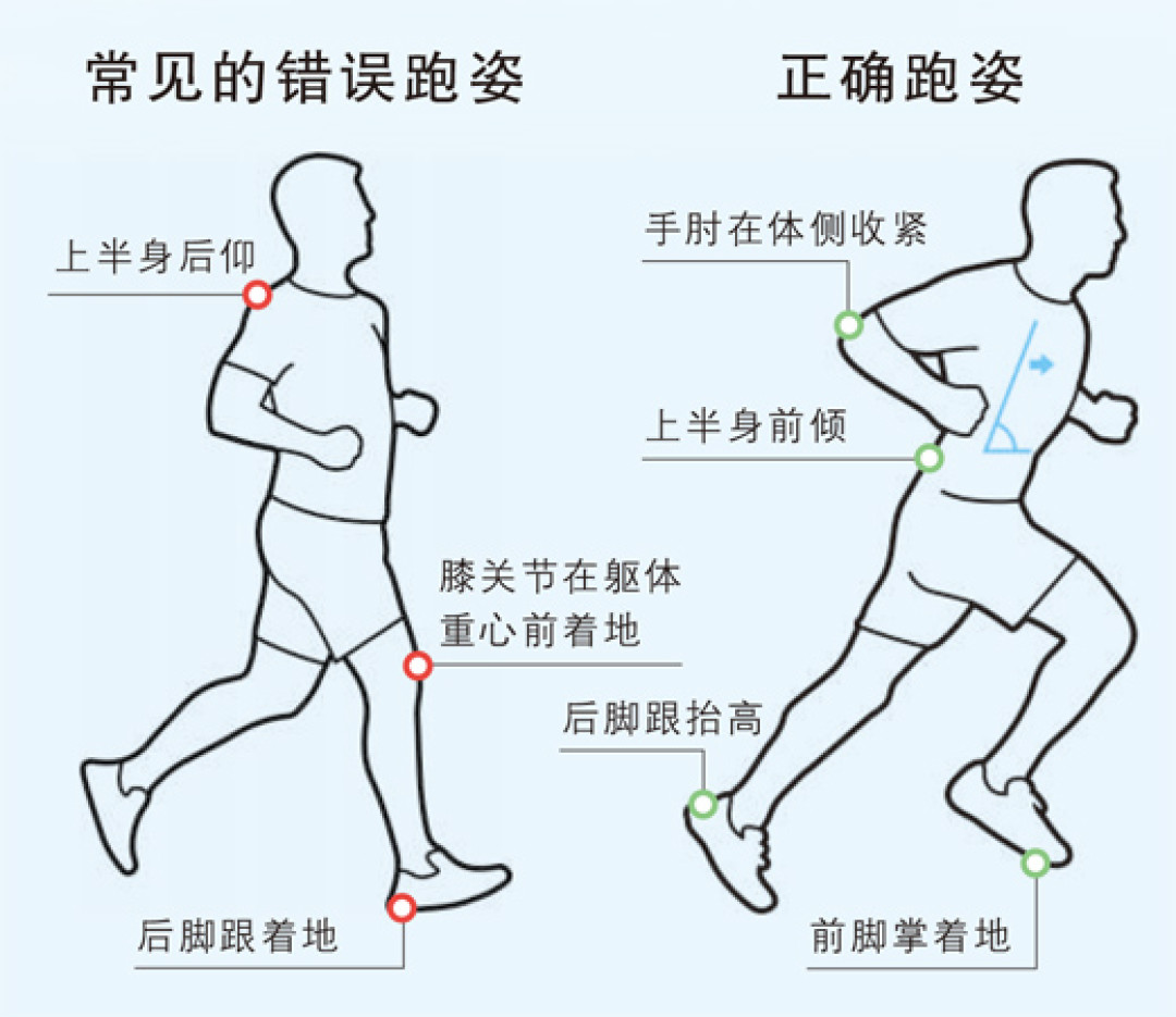 40岁怕跑步伤膝？11万人研究：久坐伤膝近3倍——先练对静蹲