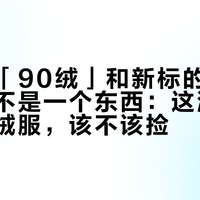 老标的「90绒」和新标的「90绒」，不是一个东西：这波双11清仓羽绒服，该不该捡？