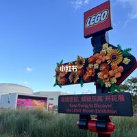 乐高开花展进入最后3天，11390龙珠11月开卖 | 乐高10.26日报