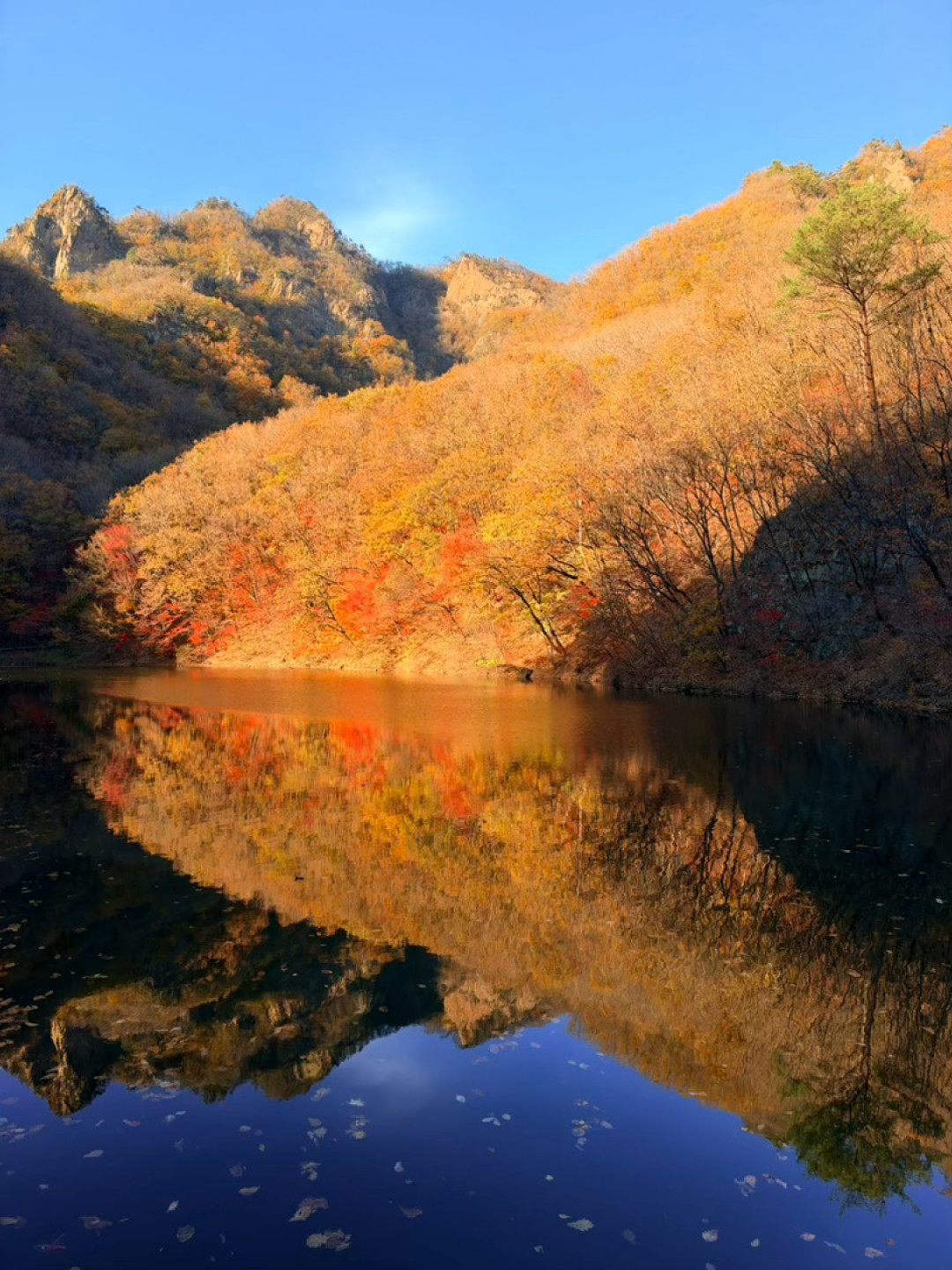 香山正高峰,南方还没熟:今年红叶晚3-5天,追红先对这张时刻表