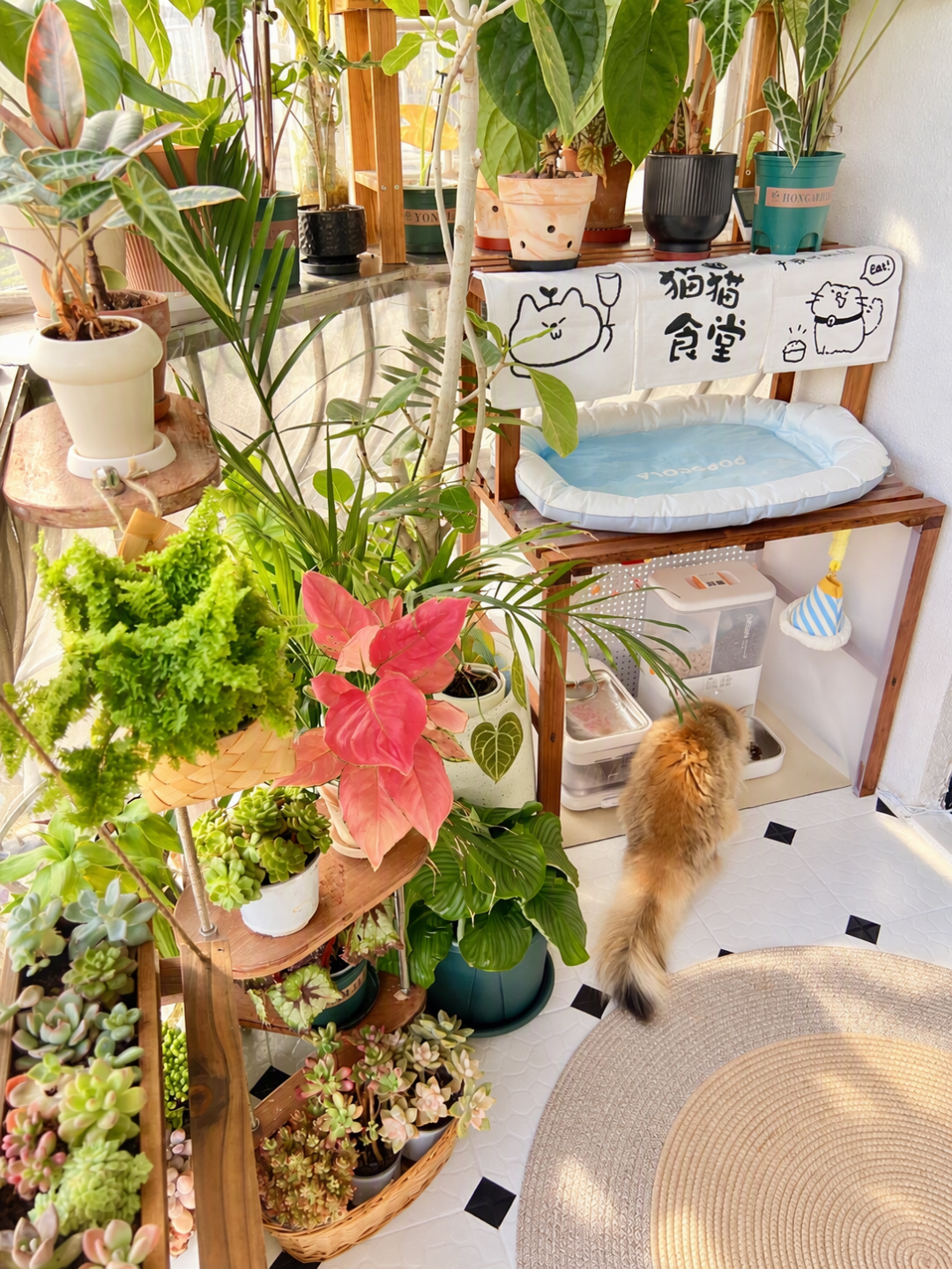 出租屋花2w改好，房东要涨租：这3类钱，花前先想清楚