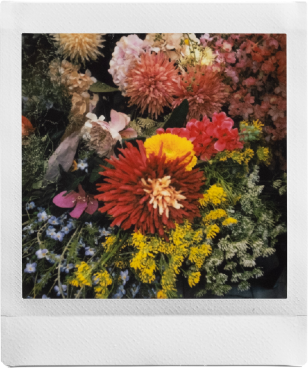 拍立得相纸79元20张,宽幅彩纸涨26%:双11挑机器,先选纸再选机