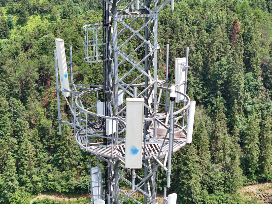 老用户89元10G,新用户39元100G:话费“杀熟”的反制绝活