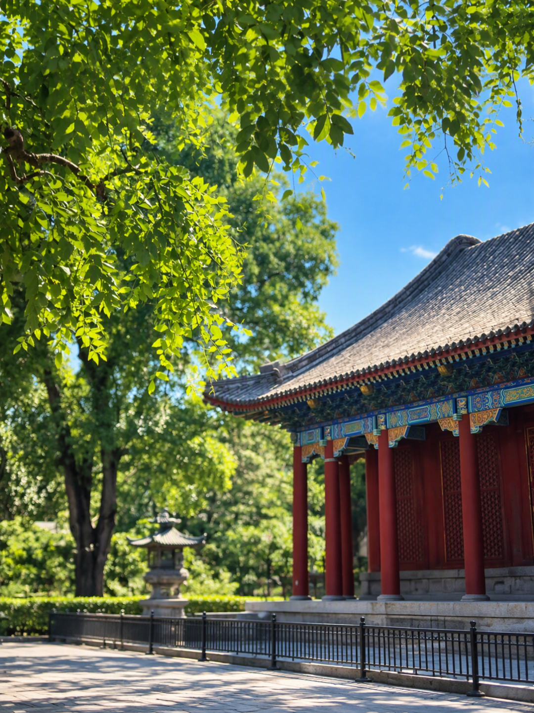 小红书