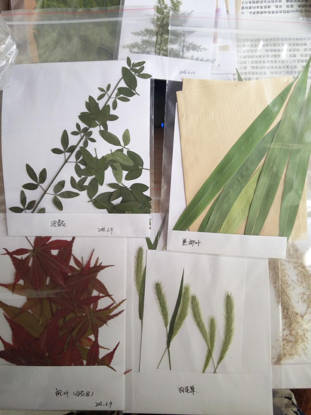 捡回来的秋天发黑长霉？你可能漏了换纸这一步