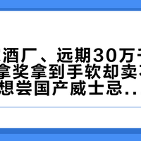 「64家酒厂、远期30万千升」撞上「拿奖拿到手软却卖不动」：双11想尝国产威士忌的对账党，下单前先把口径、标签、价梯这三本账对完