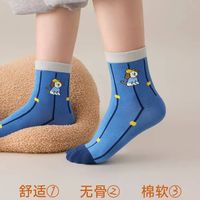 秋冬男童袜子｜认准尼多熊无骨抗菌款✨