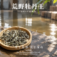福鼎茶商集体烧白茶：这场火，烧穿了老白茶的三层幻觉