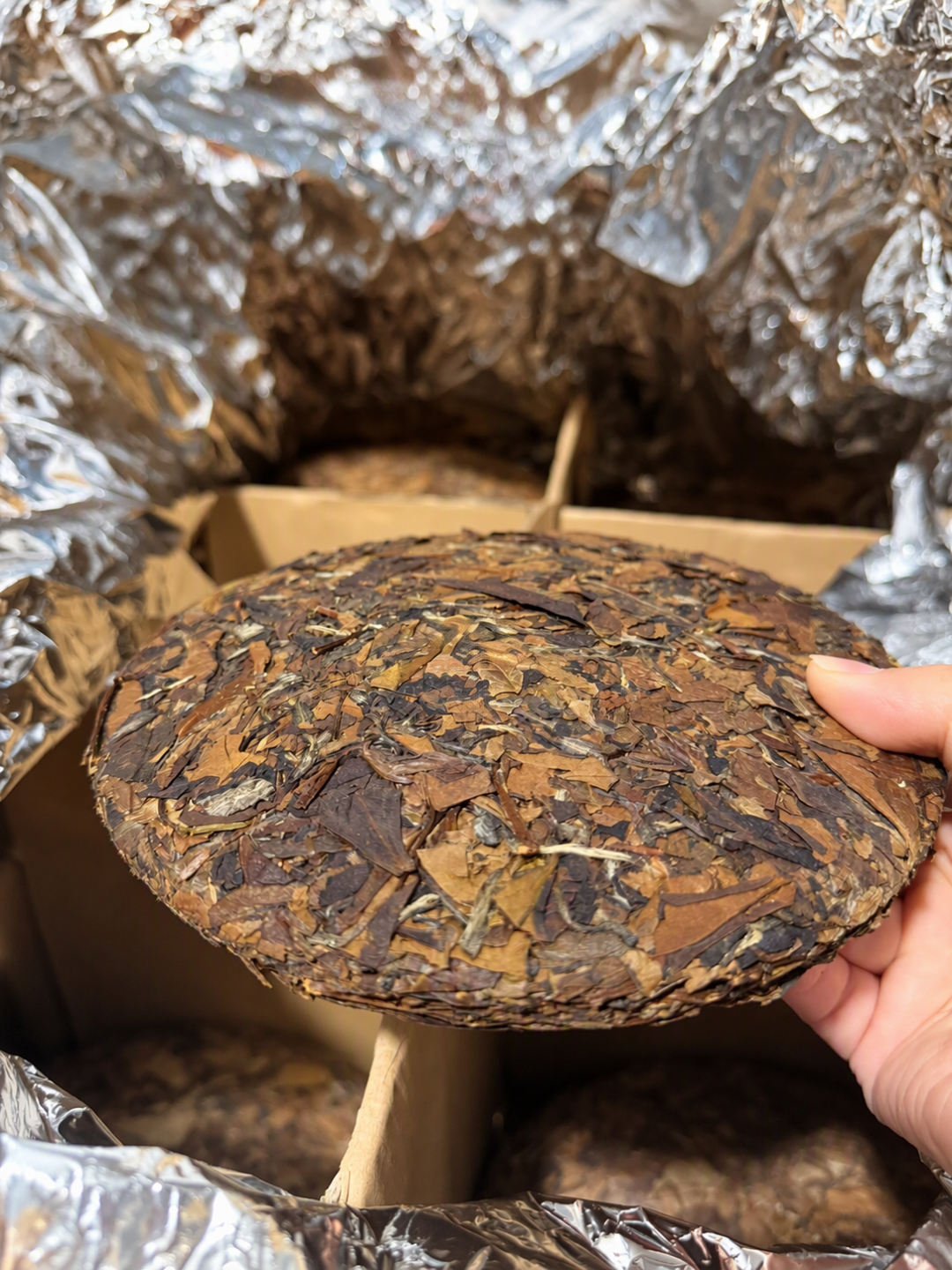 福鼎茶商集体烧白茶：这场火，烧穿了老白茶的三层幻觉