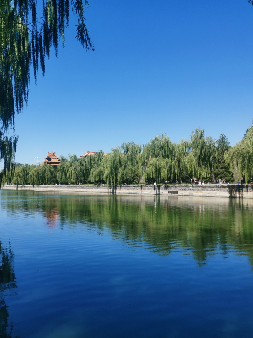 古法鱼缸不要设备,但要阳光、公母和克制