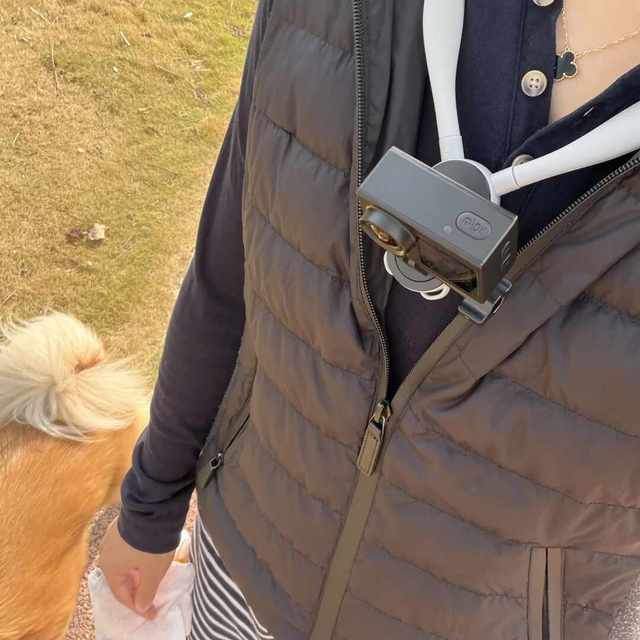 双11的70迈被"跨界用"了：遛狗随身录、摩托快拆的200元清单可以抄，但这4个坑详情页不会告诉你