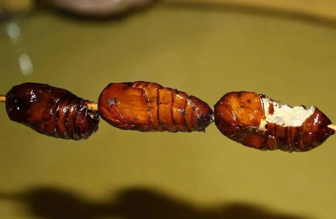 深秋树干上钉着的