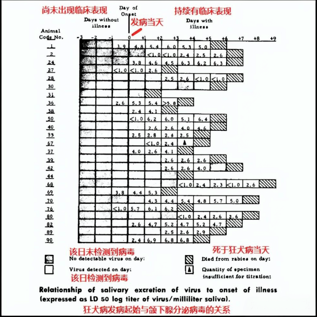 被自家猫挠了，网上劝你别打，规范说该打：先给伤口分个级