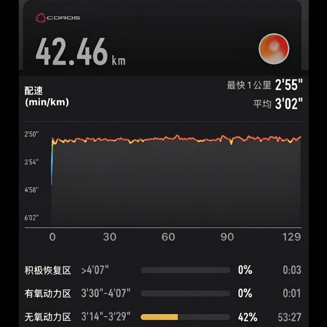 A区自主报名的