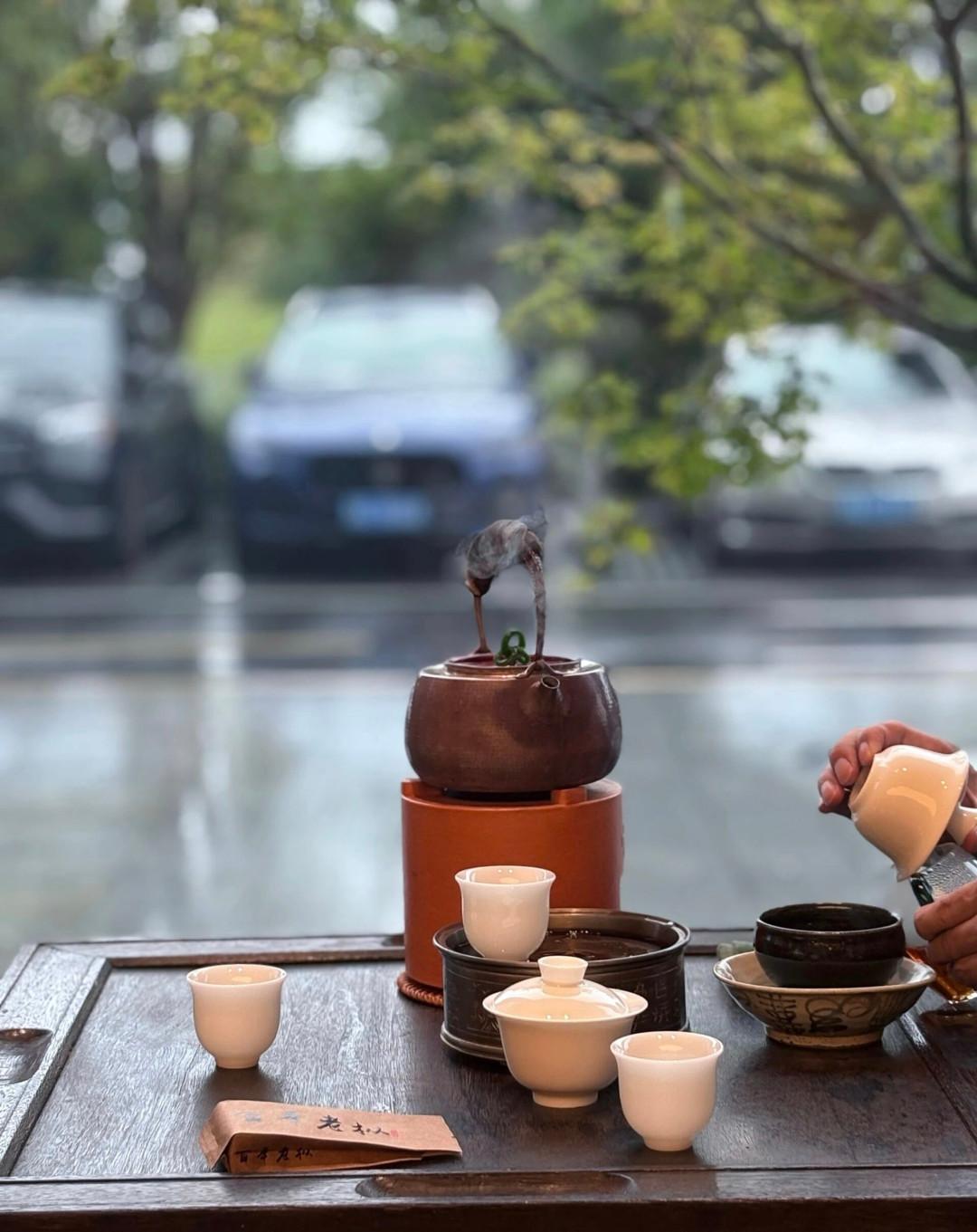 浇了热水就“活”了：年轻人流行把茶宠当桌面搭子，新手容易买错号