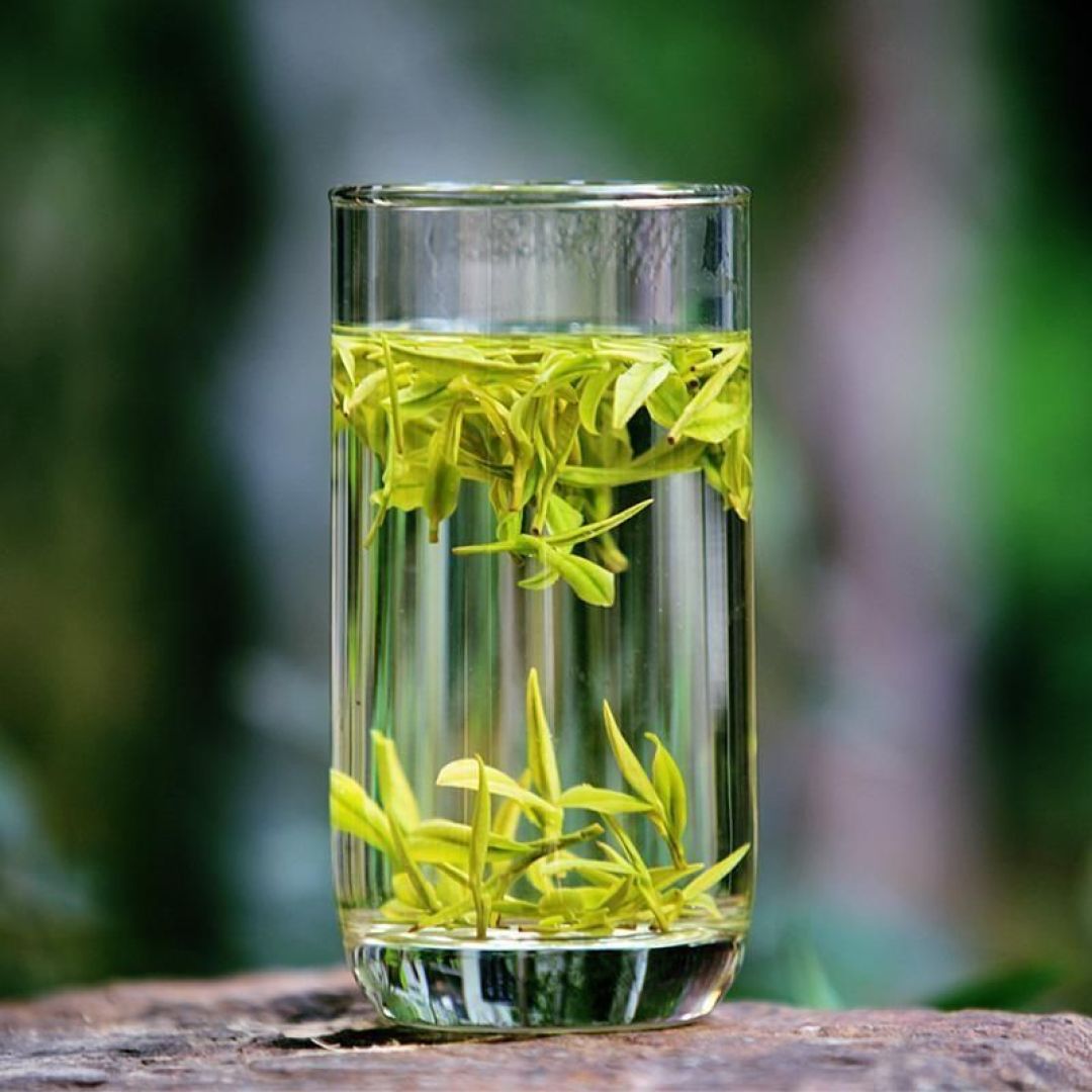 双11囤的绿茶?别急着背85℃,先把这三个旋钮拧对