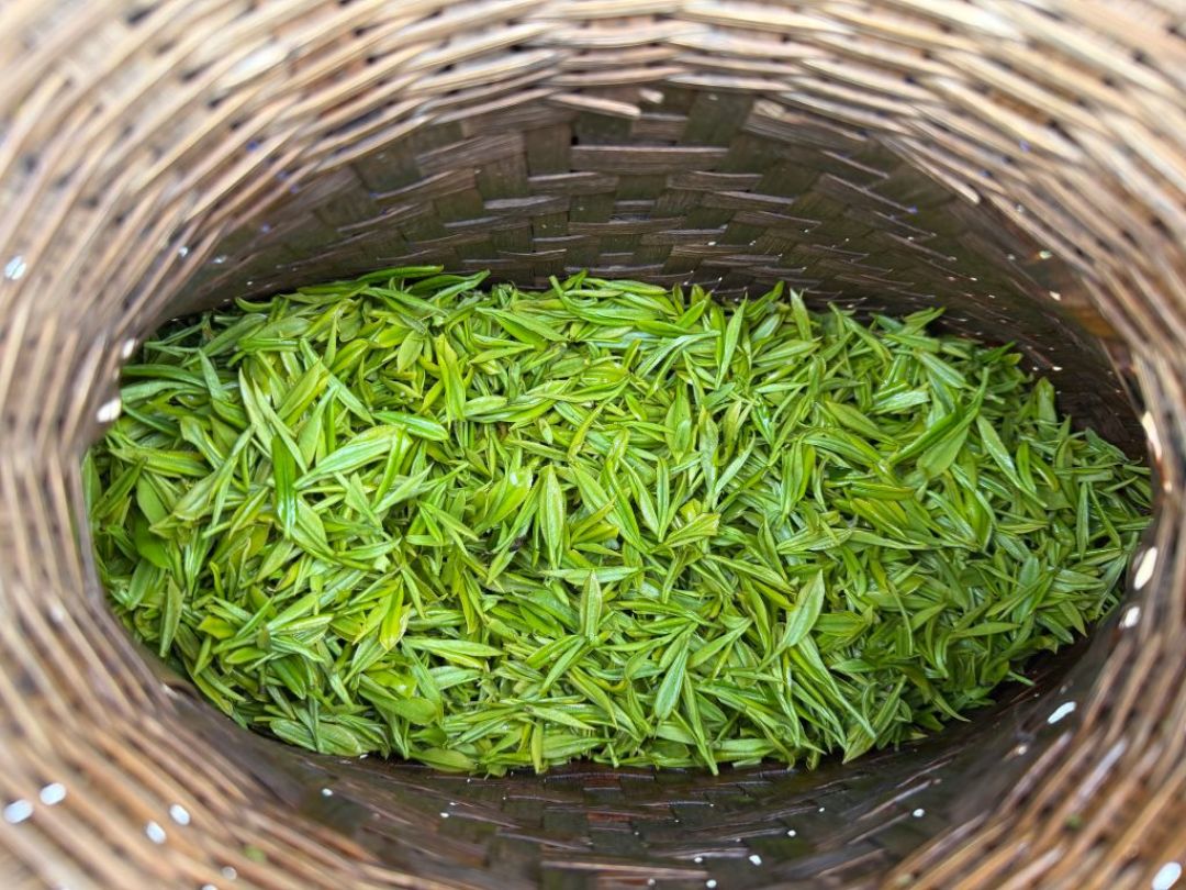 双11囤红茶前,先把口粮茶的水位摸清:从斤价48到5432,钱该花在哪一档