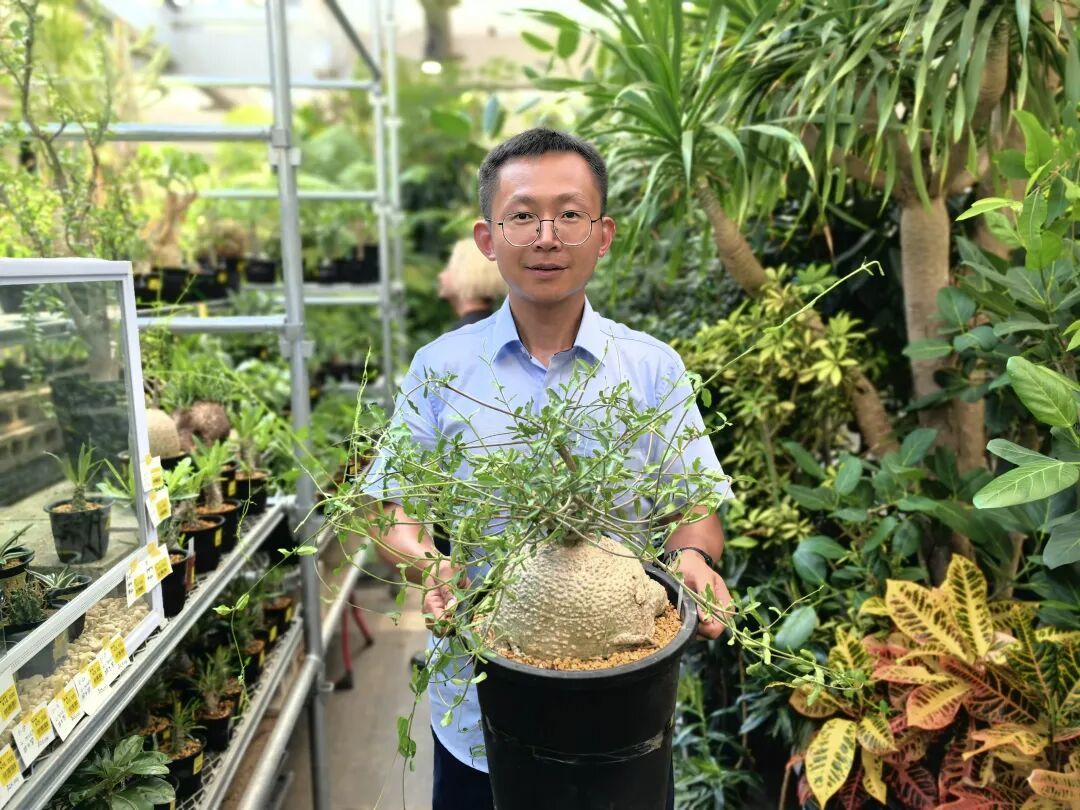 入殓师