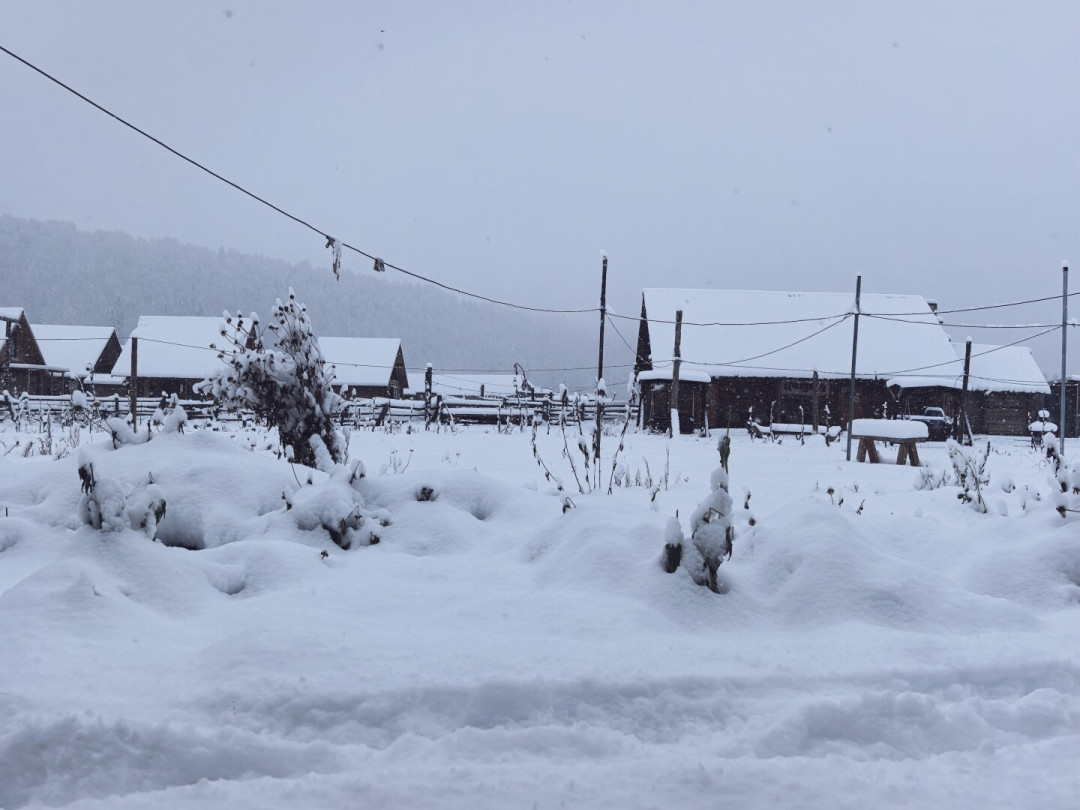 北疆扛暴雪、南疆“全黄”：胡杨窗口最后十天，房车追秋要先对完雪期、黄度、去不去这三本账，今年还赶得上就这两类人