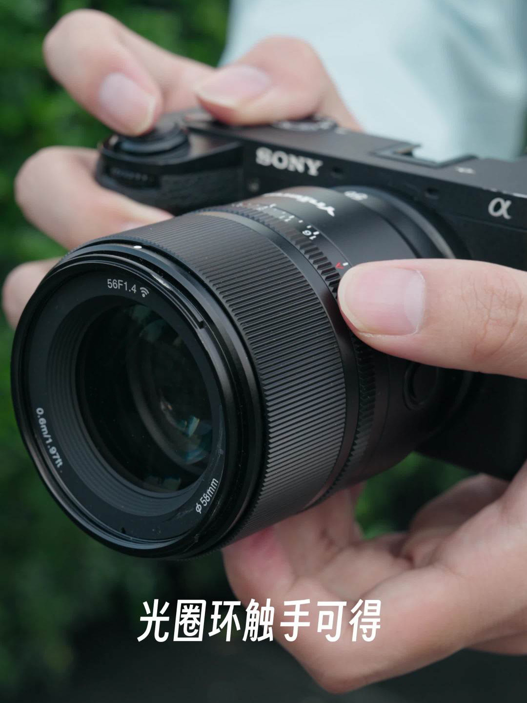 1396人点赞