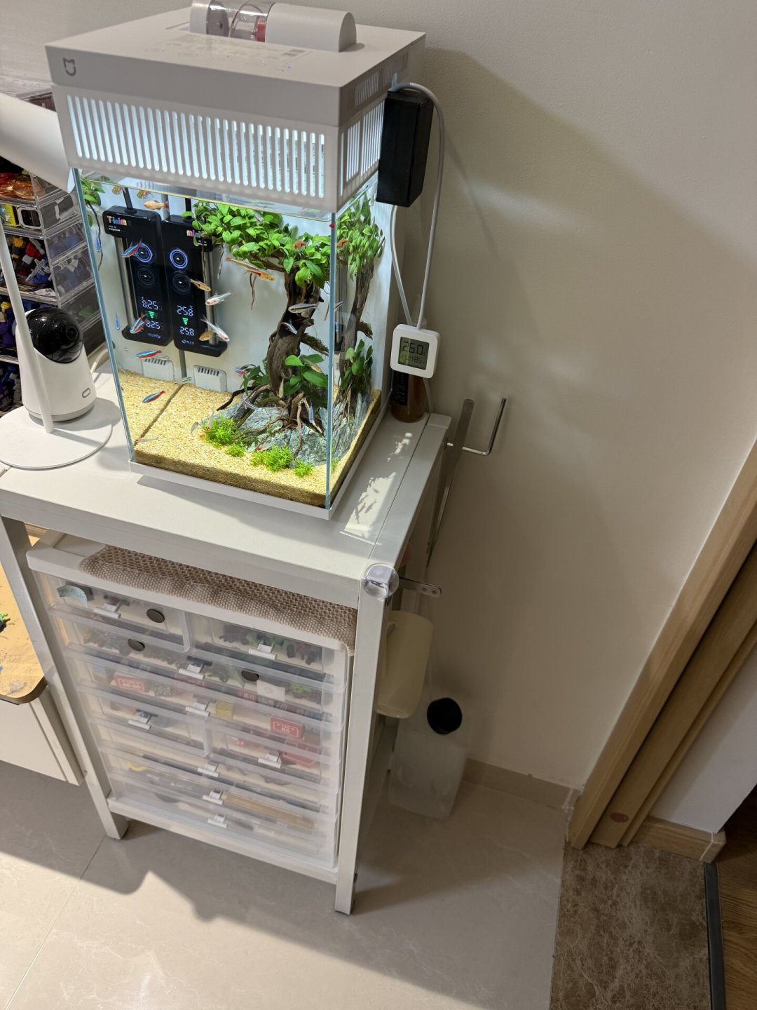 一开暖气,鱼缸一周蒸走一箱水:翻完三平台30多篇补水帖才明白,坑不在缺水,在设置