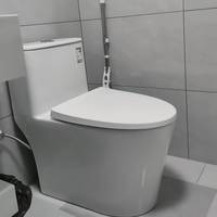 小户型卫生间闭眼入马桶🚽九牧 11396KD