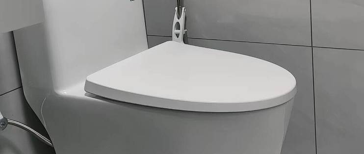 小户型卫生间闭眼入马桶🚽九牧 11396KD