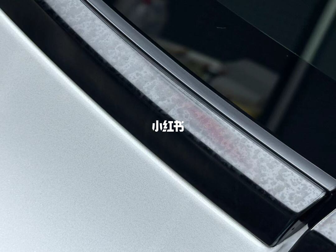 今年点赞最高的两篇洗车翻车帖，都指向同一只预喷壶：双11囤低价洗车券前，先学会这3步现场鉴别