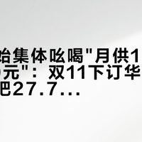 门店开始集体吆喝"月供1599、日付80元"：双11下订华晨宝马前，先把27.7万尾款摆上桌
