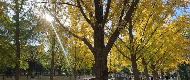 人到中年：过度分享就是给自己埋坑