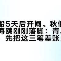 免费乘船5天后开闸、秋假9天后开假、海鸥刚刚落脚：青岛带娃上船前，先把这三笔差账对完