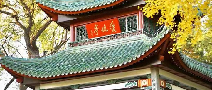 给老人挑蛋白粉，我学会先看配料表