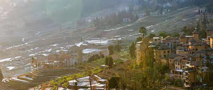 硒片参数很多看不懂？抓住几个核心指标即可