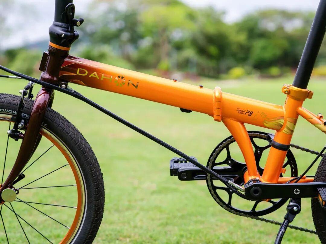 双11折叠车决赛圈:2600的大行P8和3000档的燕鸥R8,买的根本不是同一种