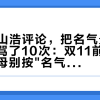 158条山浩评论，把名气最大的鬼语者骂了10次：双11前，第一件大螺母别按"名气"选