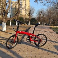 折叠车圈的"手搓"潮打到4580的M10决赛圈：对完15篇自组帖和800多条评论，我把零件、隐性成本、二手三笔账摆齐了