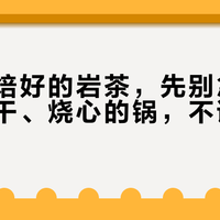 今年刚焙好的岩茶，先别急着开：嗓子干、烧心的锅，不该"上火"来背