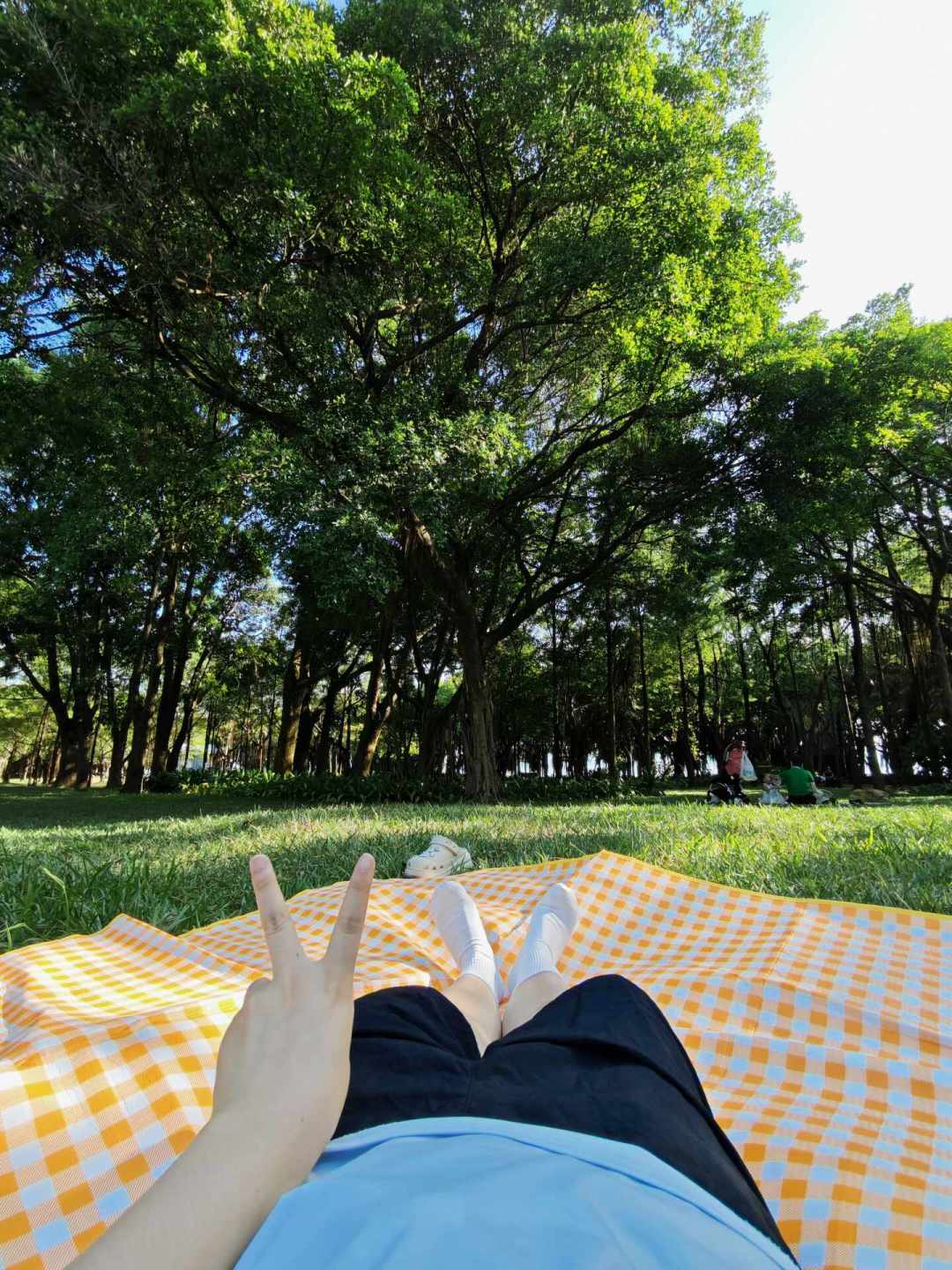 秋天公园露营季到了,扛帐篷出门前先花3分钟查规矩