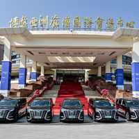 中国汽车腾势而上,D9护航APEC