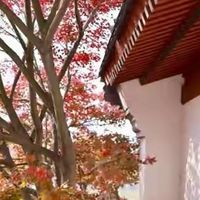 原味分离乳清蛋白粉，我是按这三点挑的