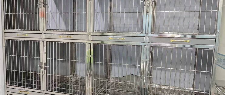 三层笼是给宠物店用的，不是给一只博美买的