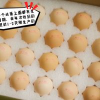 双11买黄天鹅之前，先看懂这份"蛋行情"：一枚鲜蛋被标出4种价，从91块7一盒到1块3一枚——但每档省法都标好了风险