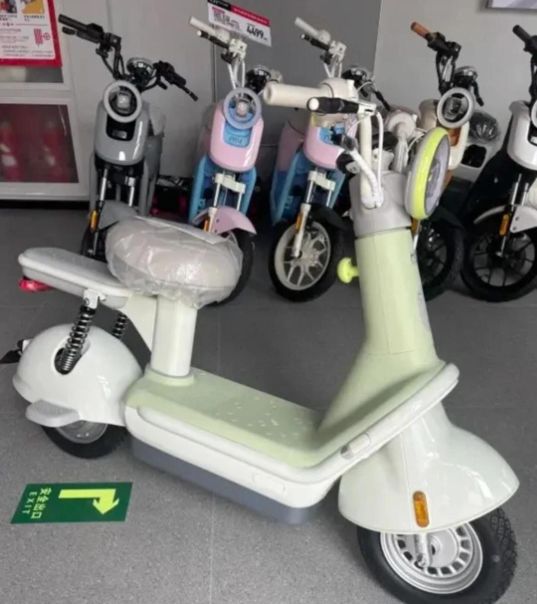 网传
