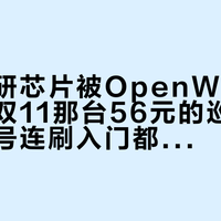 中兴自研芯片被OpenWrt破解了：但双11那台56元的巡天，买错型号连刷入门都进不去