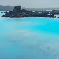鱼油选购需关注EPA与DHA含量