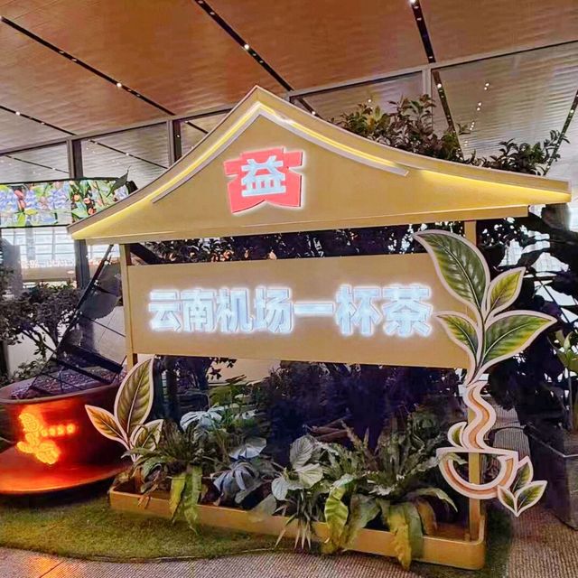 大益普洱冰淇淋火了云南机场：老茶"变年轻"，这波有几分真？