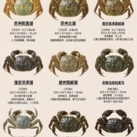 别只认阳澄湖！各地大闸蟹口感差这么多