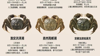 别只认阳澄湖！各地大闸蟹口感差这么多