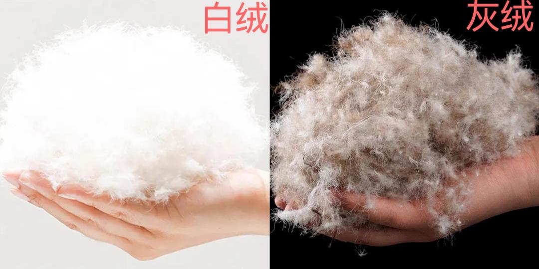 导购说波司登线上质量差？我排开一个月实拍对比帖，差别不在绒上